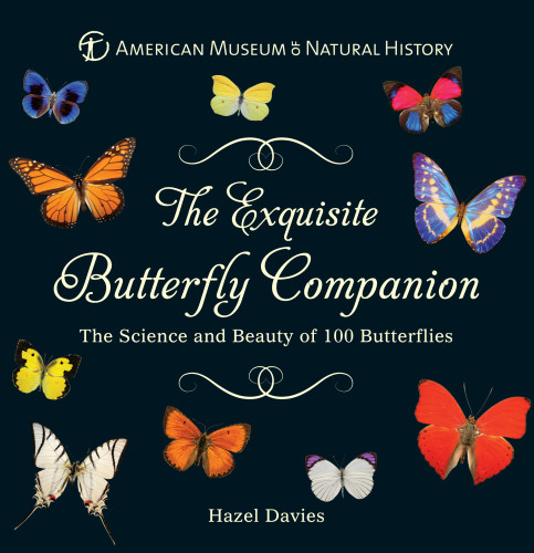 The Exquisite Butterfly Companion The Science And Beauty Of 100 Butterflies Hazel Davis