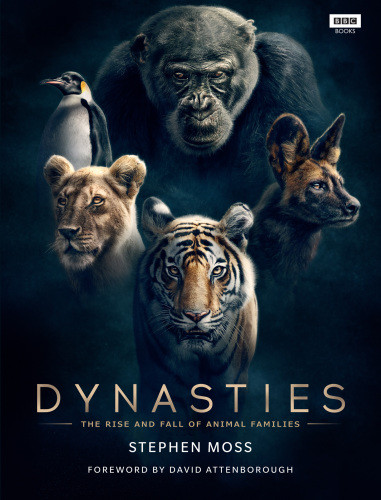 Dynasties The Rise And Fall Of Animal Families Stephen Moss