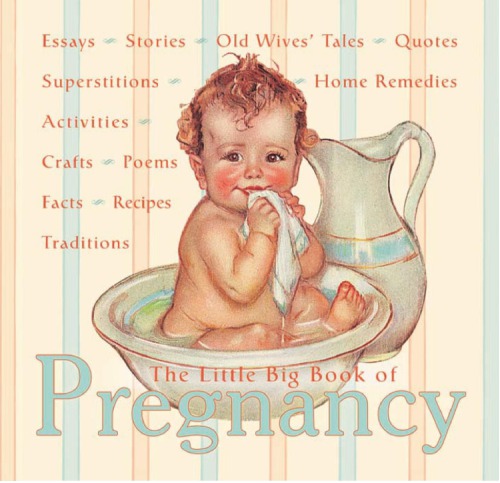 The Little Big Book Of Pregnancy Katrina Fried Lena Tabori Jon Glick