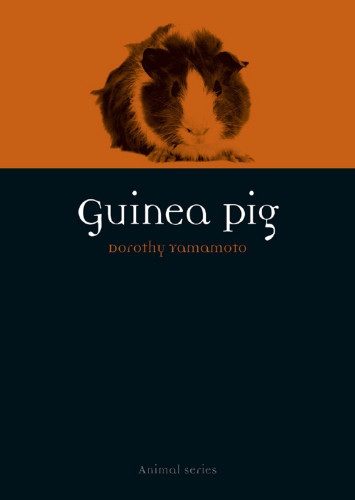 Guinea Pig Dorothy Yamamoto