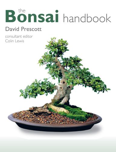 The Bonsai Handbook David Prescott