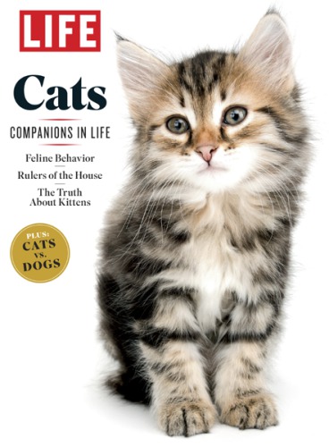 Life Cats Companions In Life The Editors Of Life