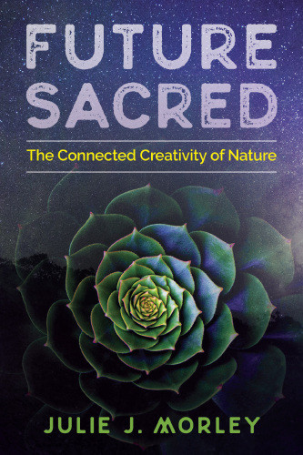 Future Sacred The Connected Creativity Of Nature Julie J Morley