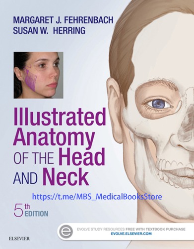 Illustrated Anatomy Of The Head And Neck 5th Edition Margaret Fehrenbach