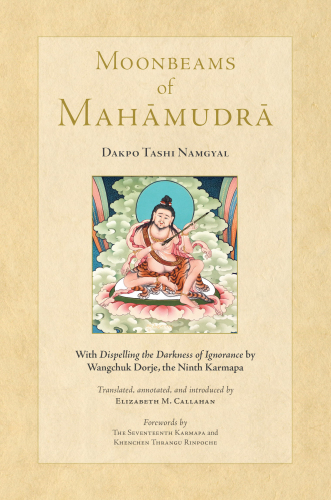 Moonbeams Of Mahamudra Tsadra Dakpo Tashi Namgyal Elizabeth Callahan