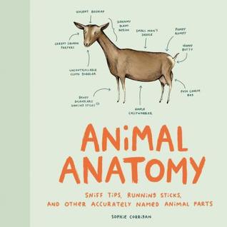 Animal Anatomy Sniff Tips Running Sticks And Other Accurately Named Animal Parts Sophie Corrigan