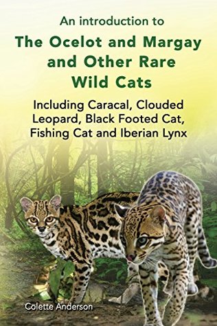 An Introduction To The Ocelot And Margay And Other Rare Wild Cats Including Caracal Clouded Leopard Black Footed Cat Fishing Cat And Iberian Lynx Colette Anderson