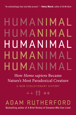 Humanimal How Homo Sapiens Became Natures Most Paradoxical Creaturea New Evolutionary History Hardcover Adam Rutherford