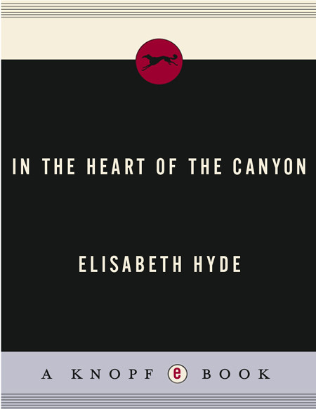 In The Heart Of The Canyon Hyde Elisabeth