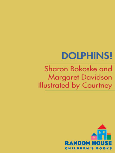 Dolphins Sharon Bokoske