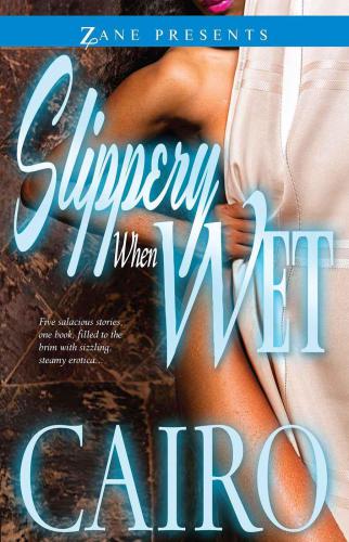 Slippery When Wet A Novel Cairo