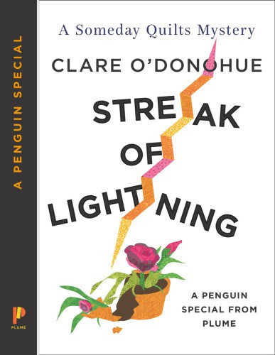 Streak Of Lightning Odonohue Clare