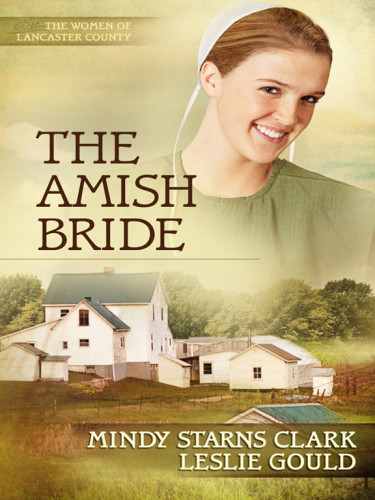 The Amish Bride The Women Of Lancaster County Book 3 Mindy Starns Clark Leslie Gould