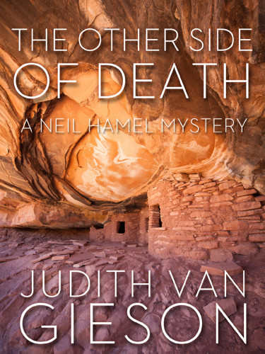 The Other Side Of Death Gieson Judith Van