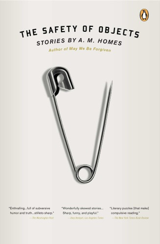 The Safety Of Objects Stories Homes A M