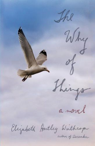 The Why Of Things A Novel Winthrop Elizabeth Hartley