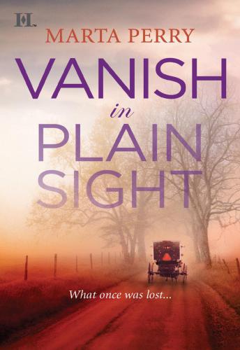 Vanish In Plain Sight Perry Marta