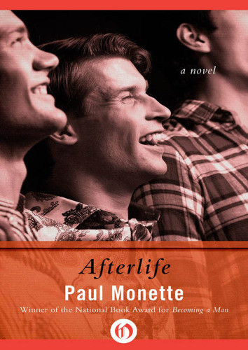 Afterlife Paul Monette