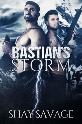 Bastians Storm Surviving Raine 2 1st Edition Savage Shay