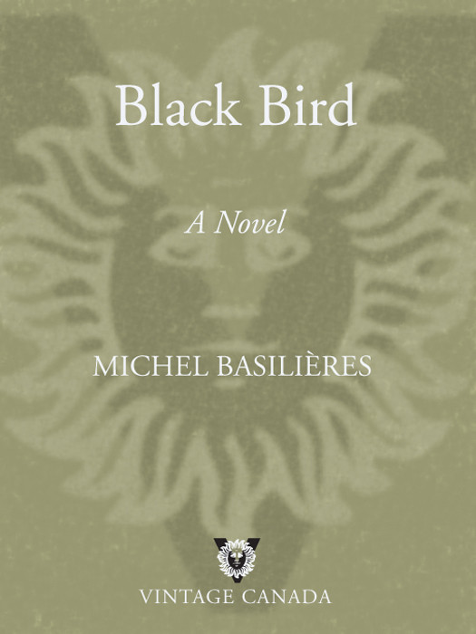 Black Bird Basilieres Michel