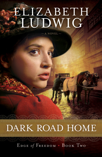 Dark Road Home Ludwig Elizabeth
