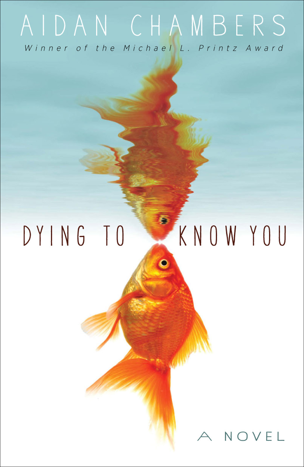 Dying To Know You Aidan Chambers