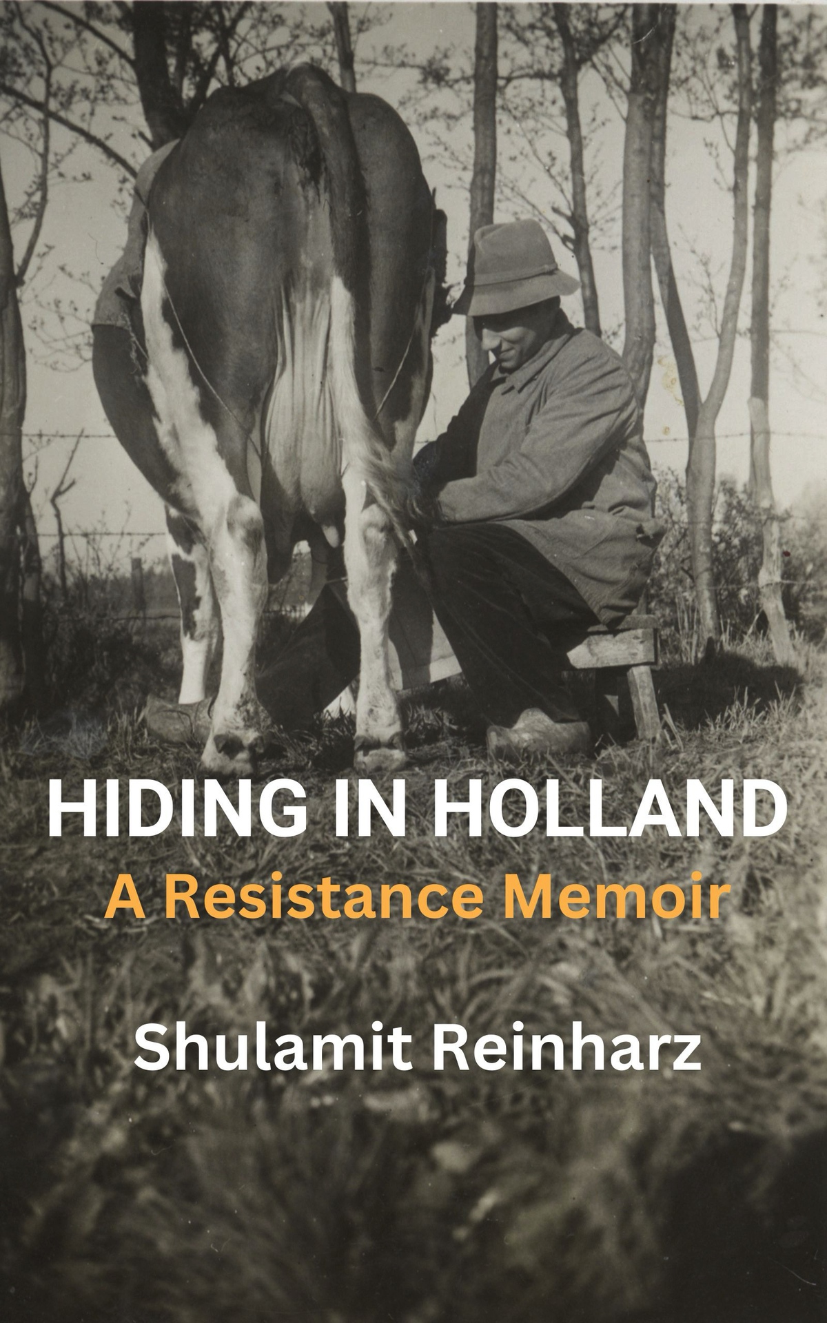 Hiding In Holland A Resistance Memoir Holocaust Survivor True Stories Reinharz