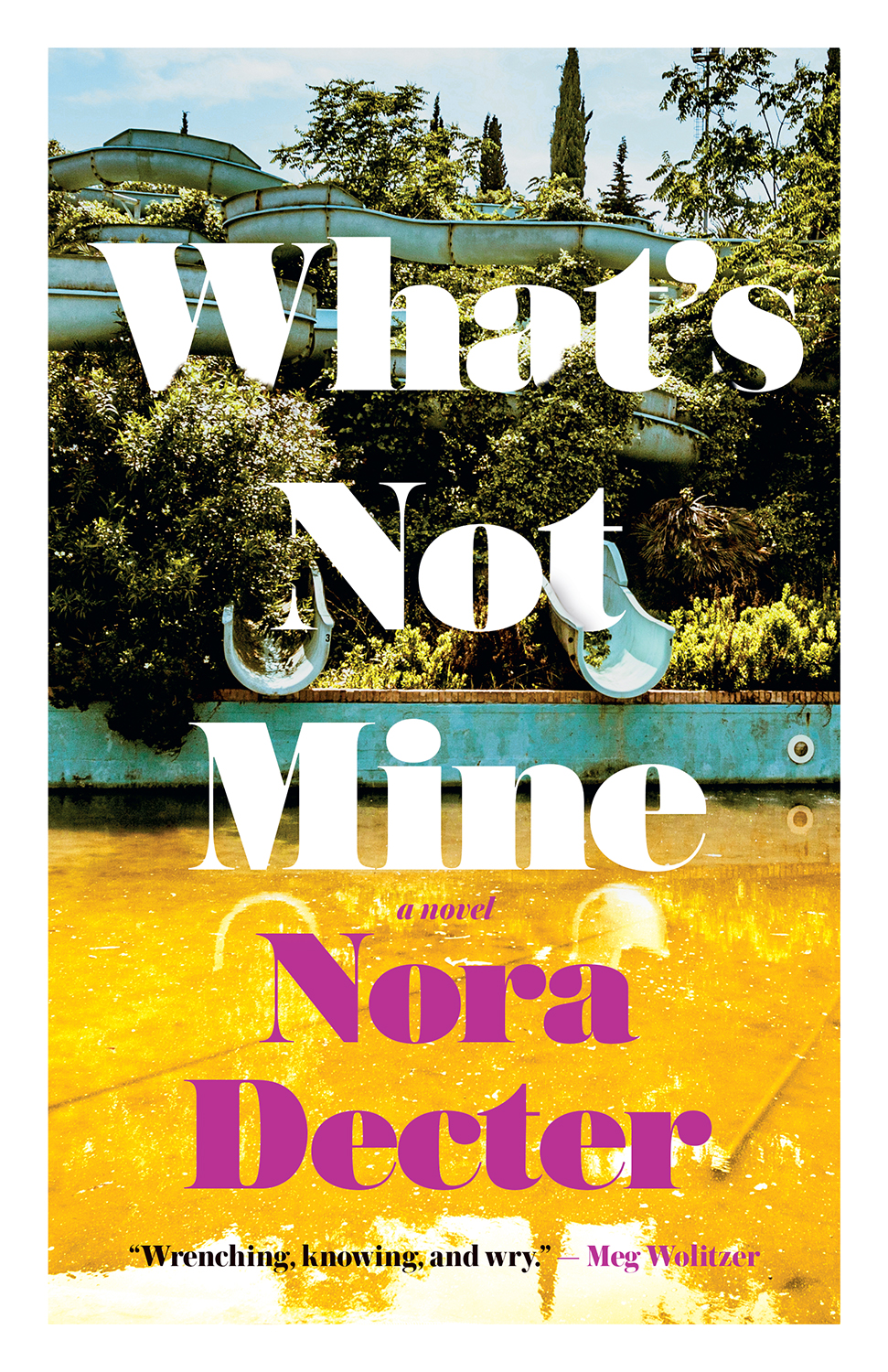 Whats Not Mine Nora Decter