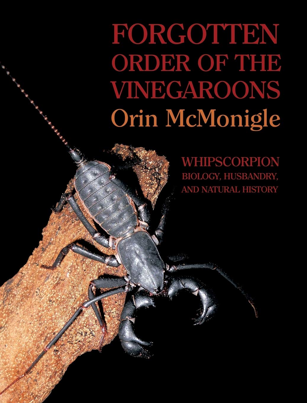 Forgotten Order Of The Vinegaroons Whipscorpion Biology Husbandry And Natural History Orin Mcmonigle