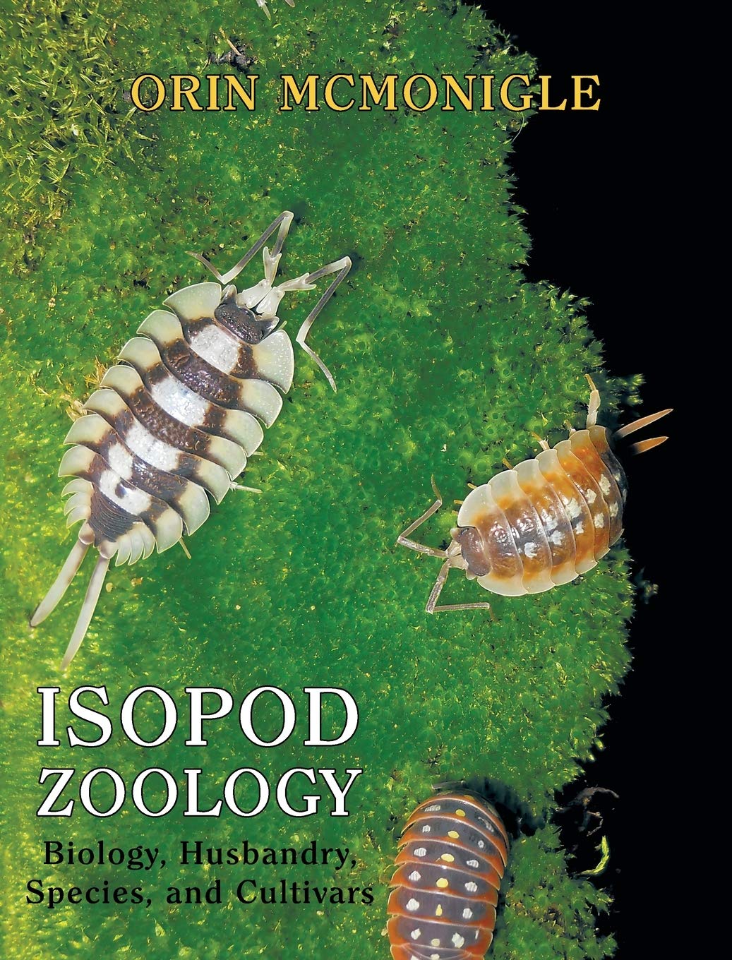 Isopod Zoology Orin Mcmonigle