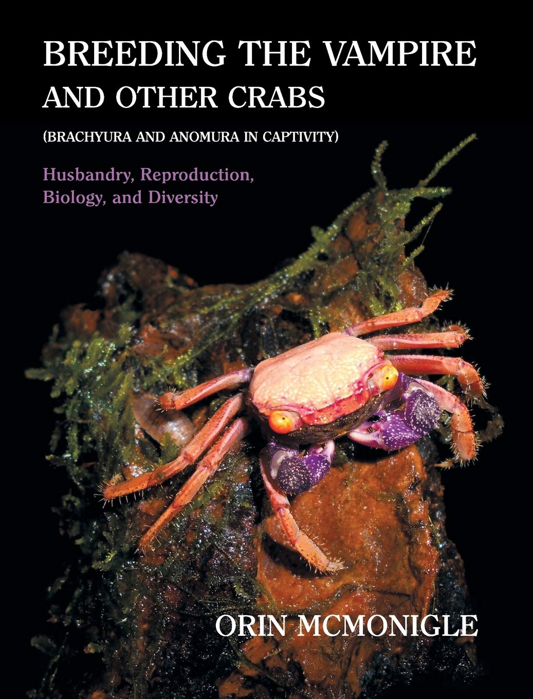 Breeding The Vampire And Other Crabs Brachyura And Anomura In Captivity Orin Mcmonigle