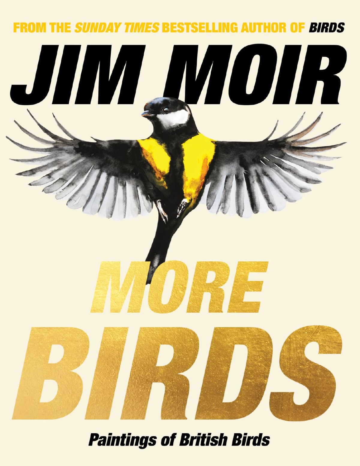 More Birds Paintings Of British Birds Jim Moir