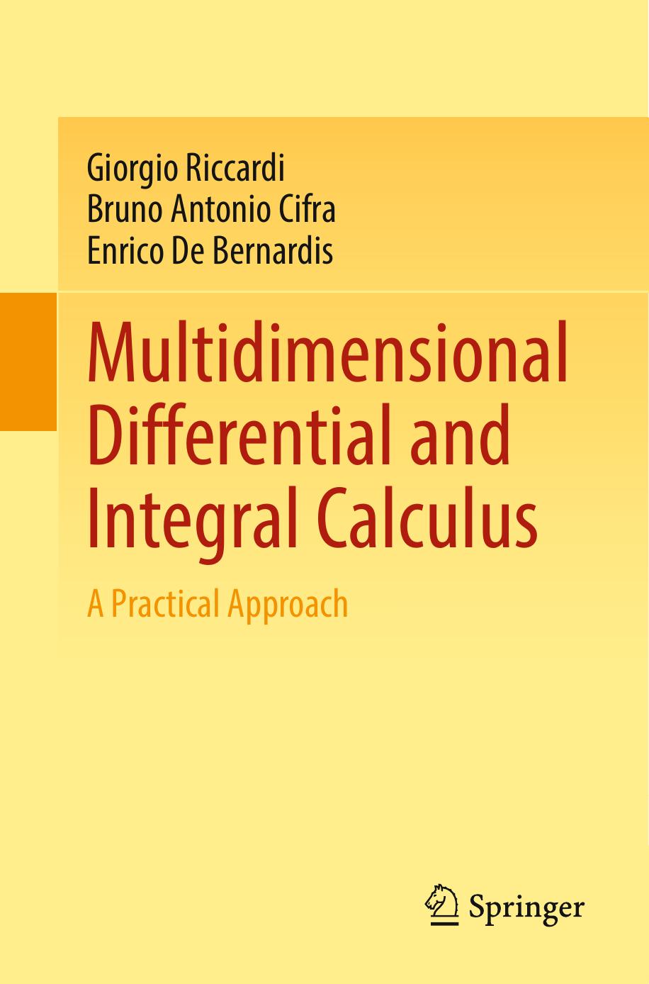 Multidimensional Differential And Integral Calculus 2024th Edition Giorgio Riccardi