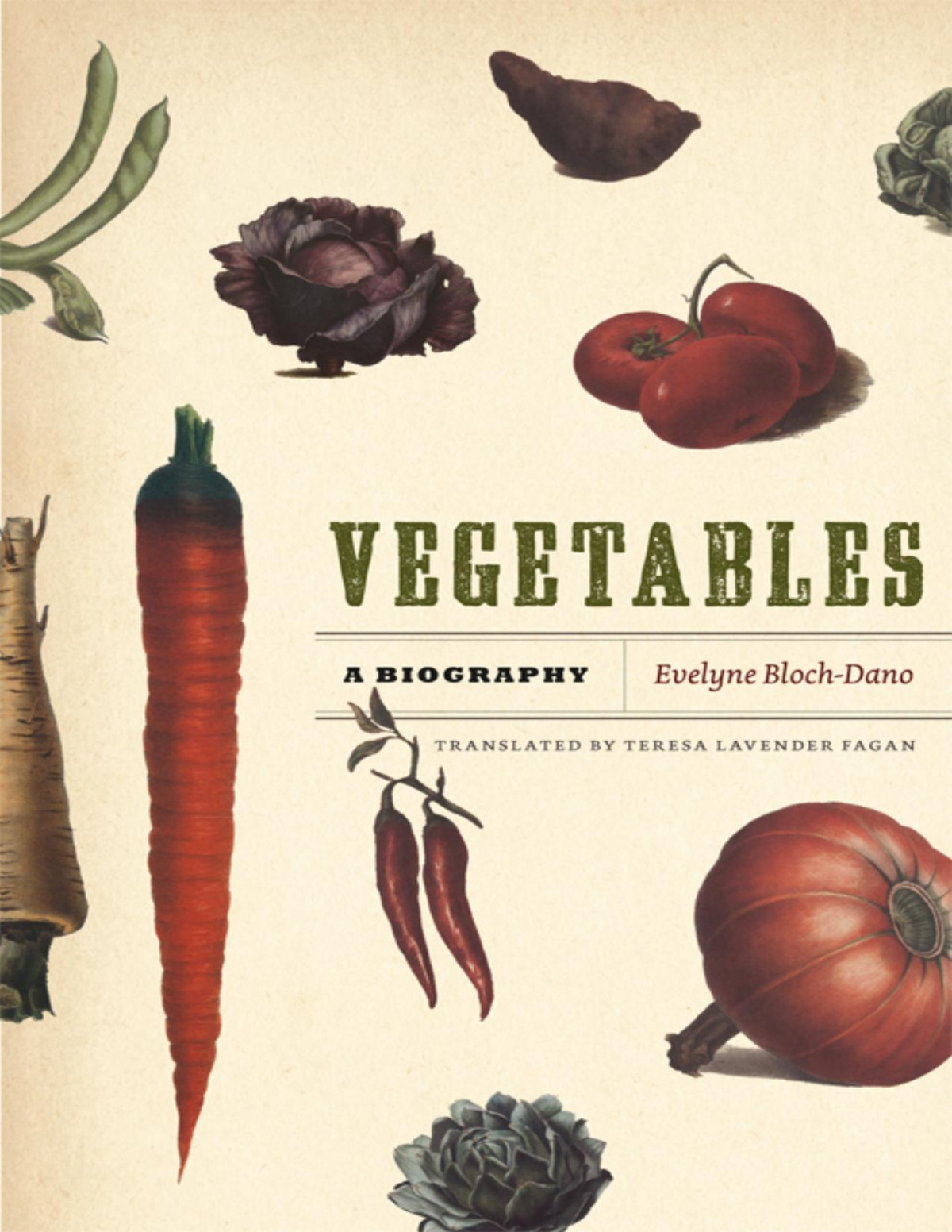 Vegetables A Biography Evelyne Blochdano Teresa Lavender Fagan