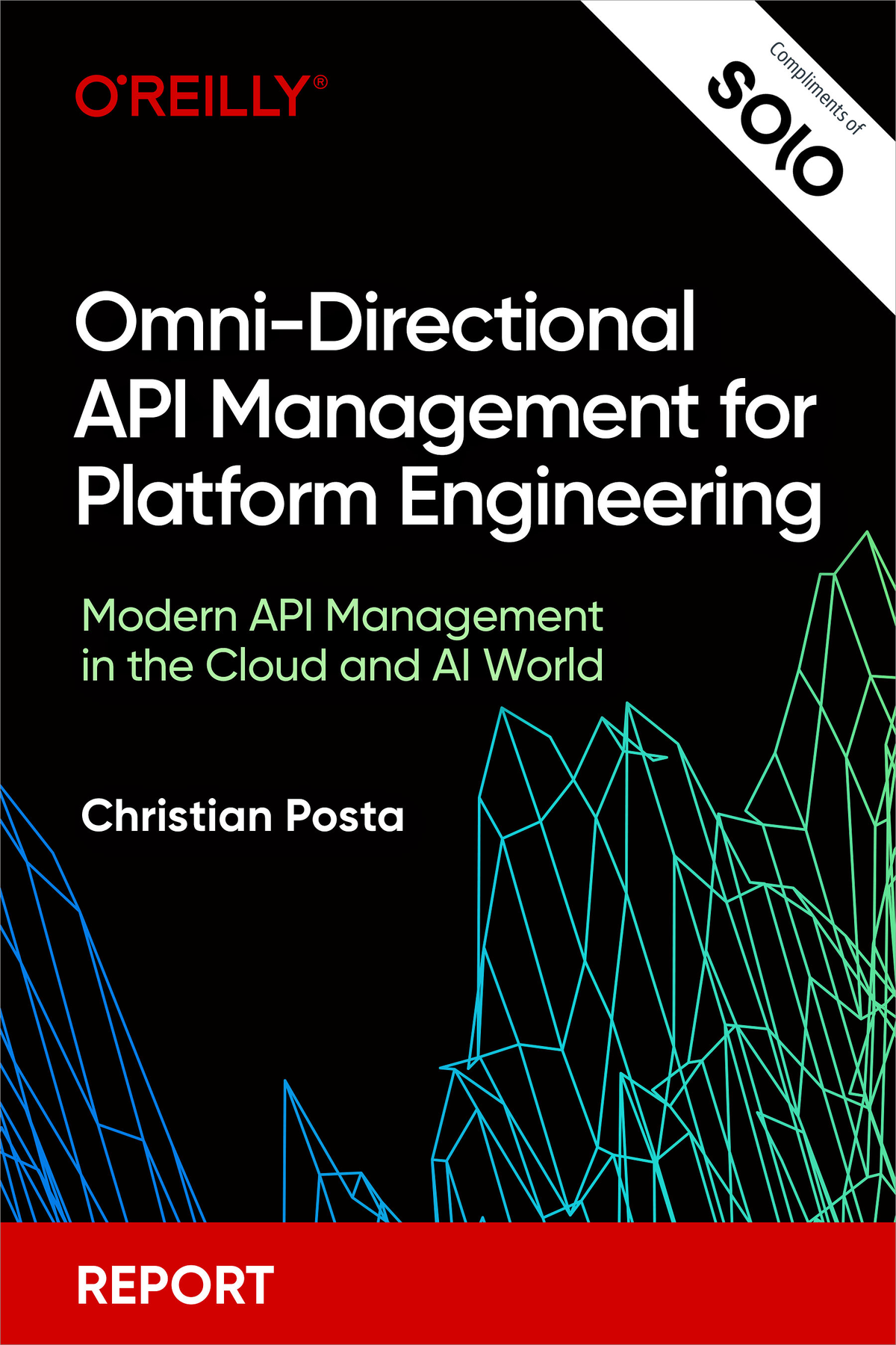 Omnidirectional Api Management For Platform Engineering For True Epub Christian Posta