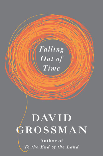 Falling Out Of Time 1st David Grossman