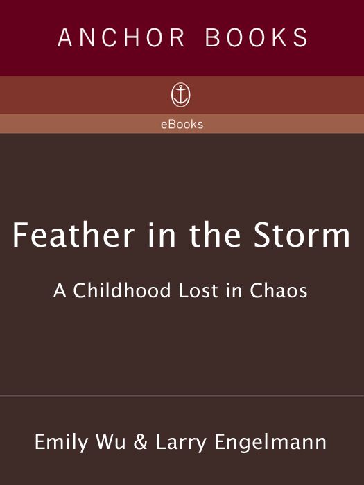 Feather In The Storm A Childhood Lost In Chaos Emily Wu Larry Engelmann