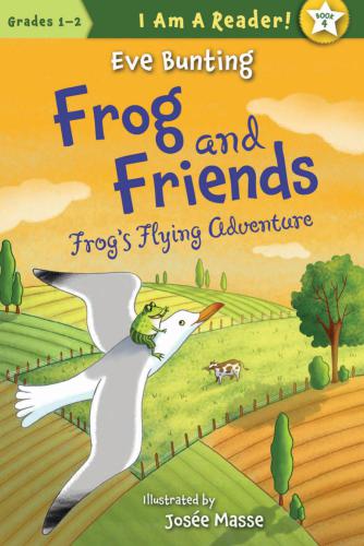 Frogs Flying Adventure Bunting Eve