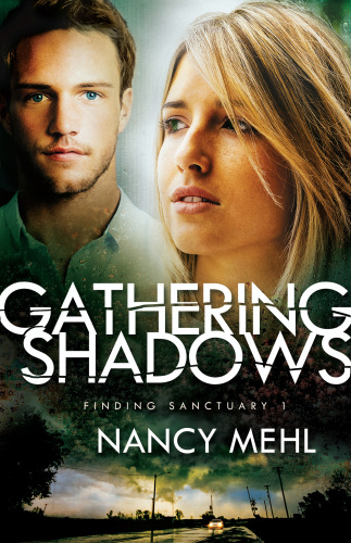 Gathering Shadows Mehl Nancy
