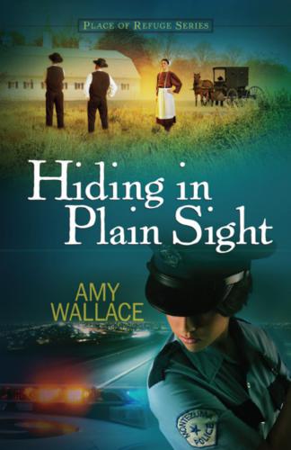 Hiding In Plain Sight Wallace Amy