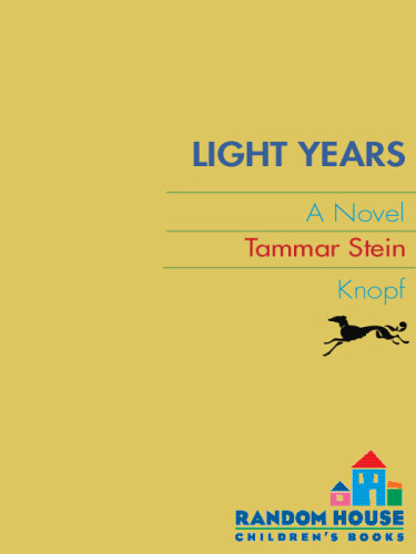 Light Years Stein Tammar