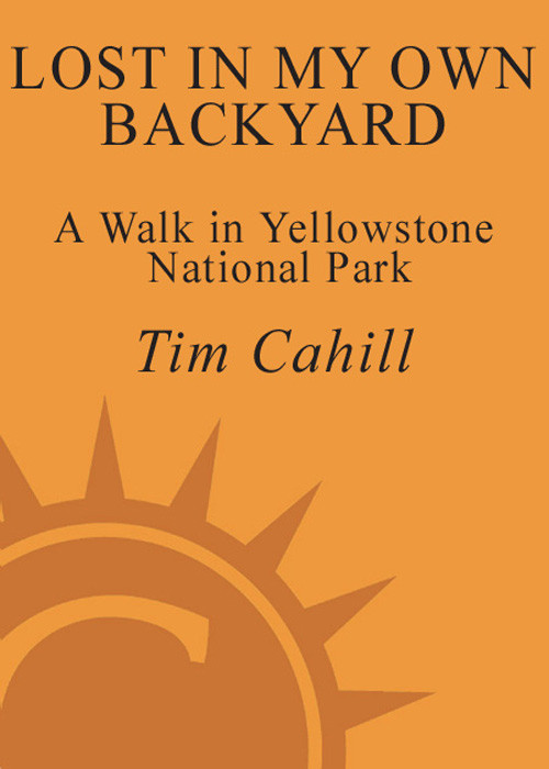 Lost In My Own Backyard A Walk In Yellowstone National Park 2004 Cahill Tim