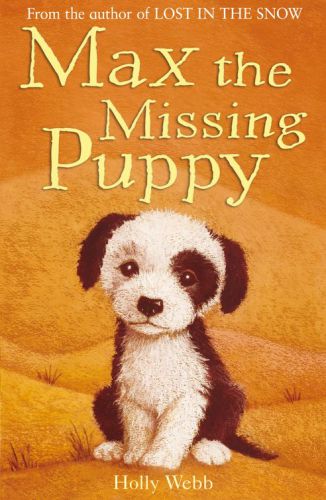 Max The Missing Puppy Webb Holly