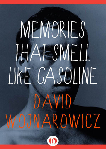 Memories That Smell Like Gasoline David Wojnarowicz