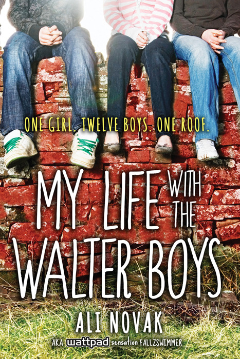 My Life With The Walter Boys Novak Ali