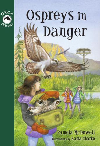 Ospreys In Danger Mcdowell Pamela
