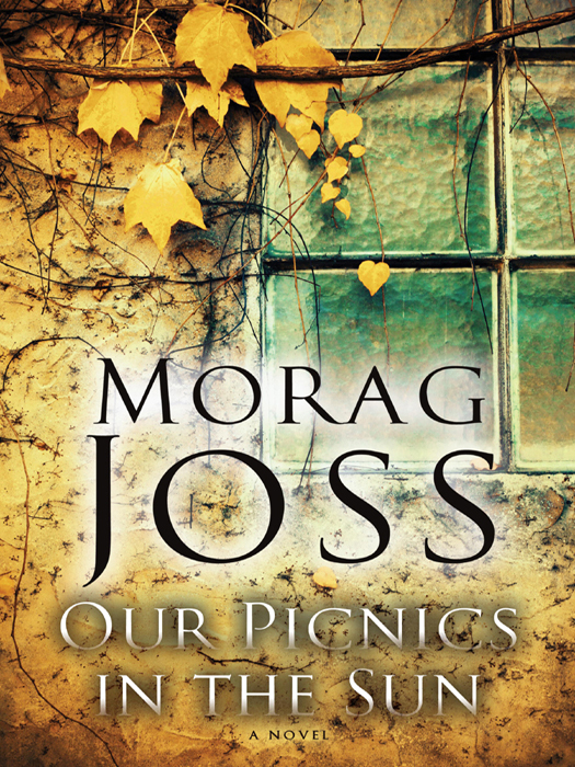 Our Picnics In The Sun Joss Morag
