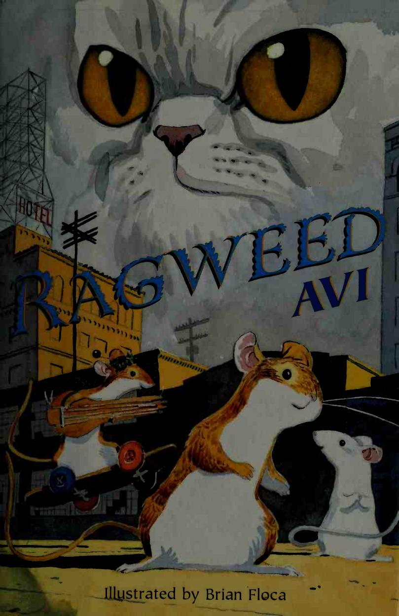 Ragweed Avi