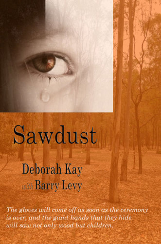 Sawdust Kay Deborah Levy Barry