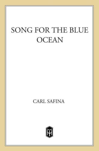 Song For The Blue Ocean Encounters Along The Worlds Coasts And Beneath The Seas Safina Carl